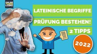 Angst vor lateinischen Begriffen / Prüfung bestehen mit 2 TIPPS / Fitnesstrainer B Lizenz / 2022