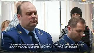 Пронько: Воровать надо миллиардами. В России дали реальный срок за кражу куриных яиц?!