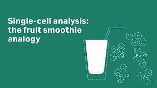 Single-cell analysis: the fruit smoothie analogy - Cytiva