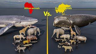 Size comparison : African animals Vs  Asian animals | 3D Animation