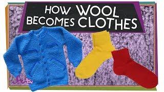 Wonderful Wool!