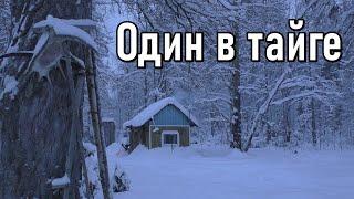 Второй заезд на участок,один в тайге,изба,отрыв от цивилизации.