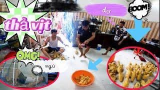 Thả 1000 con Vịt nhà Quốc Bẻm khiến Thiết khmer Mẫn Huyết Áp tương tàn?
