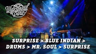 Surprise Valley → Blue Indian → Drums → Mr. Soul → Surprise Valley (Live at Red Rocks)