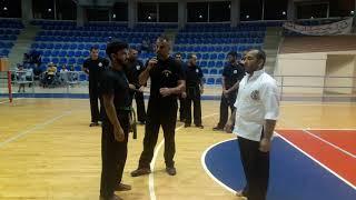 A wonderful show by Master Rabih Hamzeh in El Mina City for Jeet Kune Do and self-defense