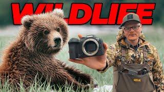 Is the Canon R7 the BEST Wildlife Camera in 2024?