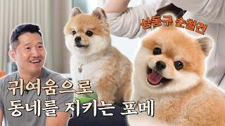 찰순대한테 심장까지 탈탈 털림 ㄷㄷ;; [안고독한 훈련사 EP.6]
