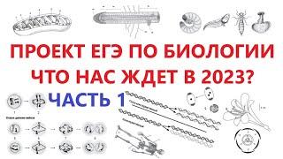 ПРОЕКТ ЕГЭ ПО БИО - 1 ЧАСТЬ. ЧТО НАС ЖДЕТ В 2023?