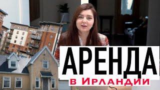 АРЕНДА ЖИЛЬЯ в ИРЛАНДИИ | За 500€, 1000€ и 2000€ Выбираем вместе | Что снять за эти деньги?