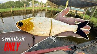 SWIMBAIT ONLY FISHING TOURNAMENT! Swimbait Universe Gathering Event Chickahominy River