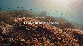 El viaje de la inspiración | Teaser