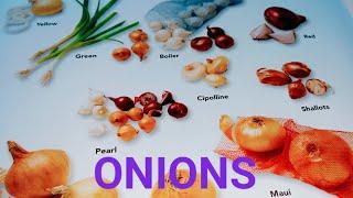 WHATS THE ASSORTED NAME'S OF ONIONS| MONGRENE CHANNEL