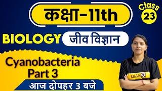 Class 11th | Class 11th Biology | By Radhika Ma'am | Class - 23 |  Cyanobacteria Part 3