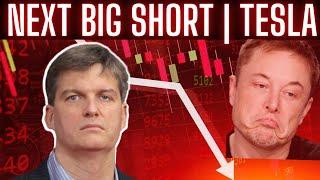 The NEXT BIG SHORT | Michael Burry $530 Million Bet Against TESLA |