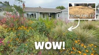 Before and AFTER! The Most Incredible Native Garden Tour Shows Us What Natives Can Do!