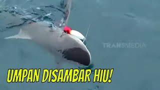 Wow! Umpan Disambar Hiu! | MANCING MANIA STRIKE BACK (08/07/23) Part 2