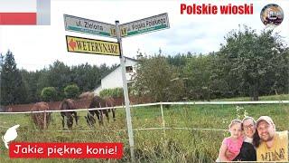 Favorite POLISH VILLAGE | Vlog of emigrants | In Poland as HOME | BIG JOB