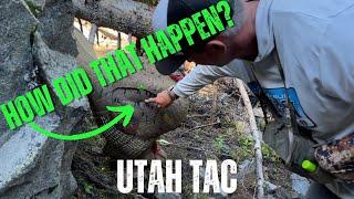 The HARDEST turkey at Utah TAC | Boulder BIRD!