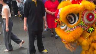 Lion dance to celebrate Chinese New Year at China Town 1 February 2025