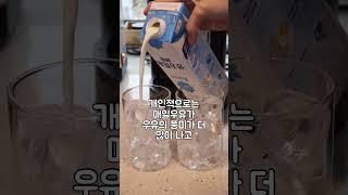 어떤 우유가 라떼 맛이 좋을까??!!