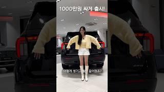 천만원이나 싸게 출시한 수입차! 팰리세이드 어쩌나..