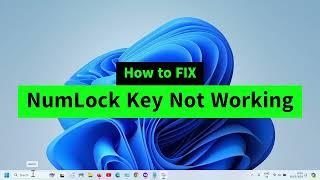 NumLock Key Not Working | Unable to Turn ON Number Lock Key | Can't Type Numbers in Windows 7/10/11