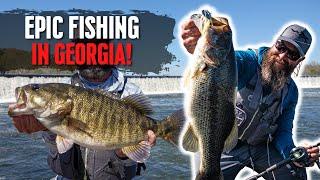 Georgia River Fishing For Big Bass!