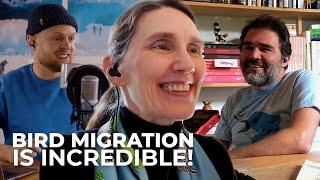 Explore the Miracle of Bird Migration with Audubon's Jill Deppe | Studio Sessions Episode 11