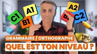 Grammaire, Orthographe, Compréhension orale ? :6 Mini-Dictées pour Tester ton Niveau !