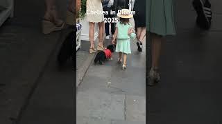 See the most beautiful flowers CHELSEA IN BLOOM 2025 tour!
