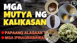 MGA MUTYA NG KALIKASAN PAPAANO ALAGAAN | Bhes Tv