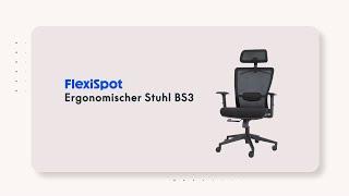 FlexiSpot | BackSupport Bürostuhl BS3