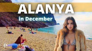 Is December 2024 the BEST Time to Visit Alanya Cleopatra Beach?