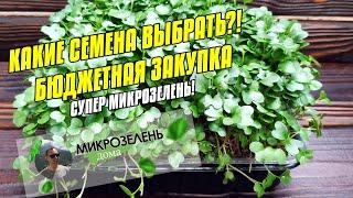 ВЫРАЩИВАНИЕ ЗЕЛЕНИ БЕЗ ЗЕМЛИ | МИКРОЗЕЛЕНЬ ДОМА | КАКИЕ СЕМЕНА ВЫБРАТЬ | СЕЕМ СЕМЕНА | СЕМЕНА 2021