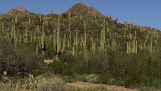 Spur Cross "The Metate Trail"