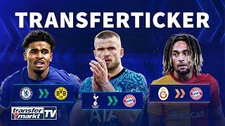 Dier-Transfer perfekt / BVB leiht Chelseas Maatsen / Bayern mit Interesse an Boey | TRANSFERMARKT