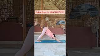 Powerful Stretch Secret#yogafitness #getfit #fitoftheday #exercise #fatloss #exerciseathome #yogafit