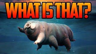 Are Tardigrades Really Indestructible?