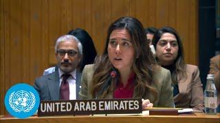 Adopted Resolution on Humanitarian assistance: Israel/Palestine - Security Council | United Nations