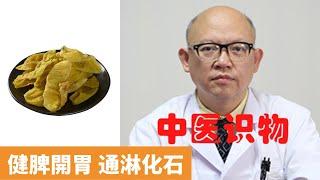 雞內金的功效與作用【保健養生】生生不息┃健脾開胃┃消食化積┃澀精止遺┃通淋化石