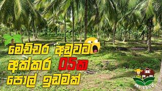 මෙච්චර අඩුවට අක්කර 05ක පොල් ඉඩමක්  | Land For Sale In Embilipitiya