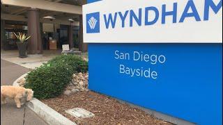 Dog Friendly Hotel Review for the Dogs, Wyndham San Diego Bayside