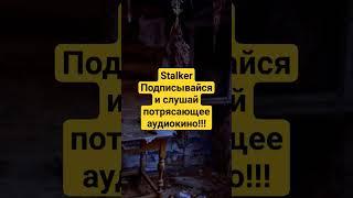 аудиокнига сталкер, подпишись и слушай. #сталкер #stalker #аудиокнига #книга #потерянный #сектор