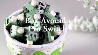 Box Avocado Pro Switch