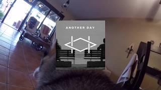 Jack Johnson / Ben Harper type beat - "Another Day"