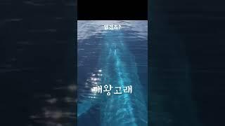 대왕고래가 놀랍고 거대한 4가지 사실 #shorts