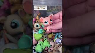 #littlestpetshop #lps #asmr #littlestpetshops #collectible