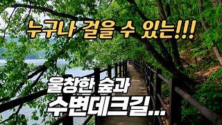 걷기 좋고 풍경 좋은 울창한 숲 길 금광호수 수변둘레길