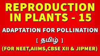 Adaptation for Pollination in Tamil | Reproduction in Plants  Tamil (15) - Rajus Biology