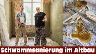 Expertentalk mit Sachverständigen - Schwammsanierung im Altbau